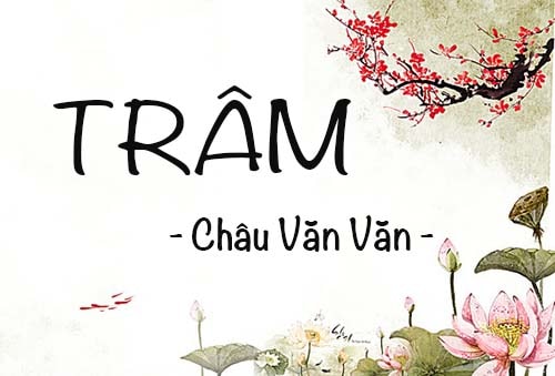Review Trâm – Châu Văn Văn: Ngôn tình phá án cực hot
